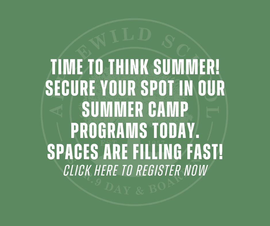 Summer is just around the corner!